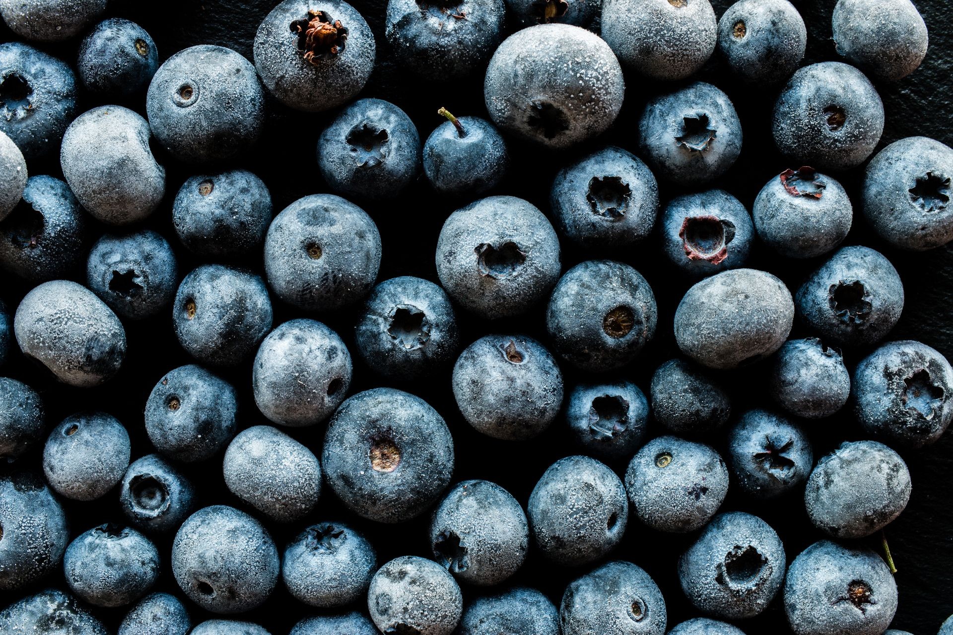 frozen blueberry, top view, macro